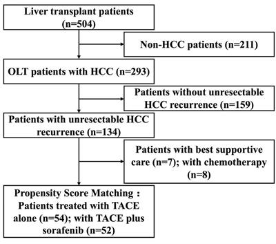 Efficacy and safety of transarterial chemoembolization plus sorafenib in patients with recurrent hepatocellular carcinoma after liver transplantation